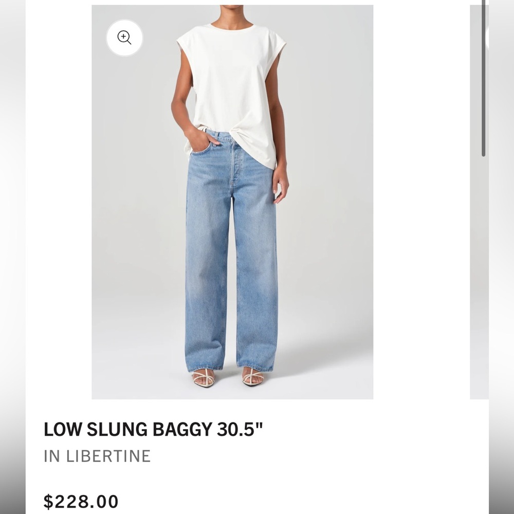 Agolde Low Slung Baggy in Libertine